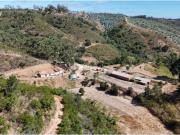 Casa de 176 m² à venda Monchique, Portugal