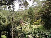 Terreno de 1800m2, Ótima Localização, Pronto para Construir