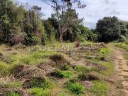 Terreno de 18.500 m² com ótima topografia!