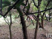 TERRENO DE 1,056M2 EN AHUATEPEC CON ESCRITURAS