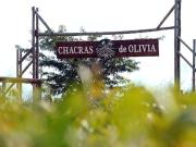 Terreno de 1,5 has. Barrio Chacras de Olivia. Zárate