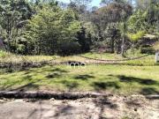 Terreno de 1.630m² à venda no Cond Bothânica de Jarinu,...