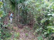 TERRENO DE 1 HA EN VENTA EN LEONA VICARIO