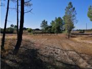 Terreno de 1ha viável para construção