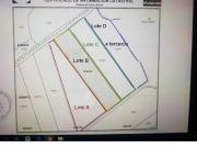 Terreno de 22,000 m² en Venta en Mala con Posibilidad de...