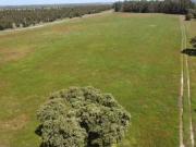 TERRENO DE 22,45HA COM RUNA DE 240M2 PARA RECUPERAO...