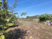 Terreno de 2340 metros quadrados para construção