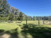 Terreno de 2500 m2 arbolado a la venta en Santa Anita...