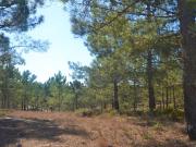 Terreno de 285 m2 à venda Comporta, Portugal