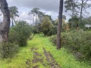 Terreno de 2971m2 para construção de 1188,4m2 seja 5...