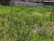 TERRENO DE 2,255M2 CON BONITA CASA