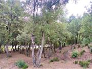 Terreno de 2.299m² en venta en les Pedritxes, Matadepera