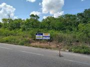 TERRENO DE 30 HECTÁREAS EN VENTA A 10 MIN DE CHICHÉN...