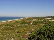 Terreno de 3866 m2 Comporta, Setúbal Terreno de 3866 m2 Comporta, Setúbal