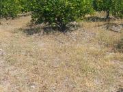 TERRENO DE 39,638 METROS EN JIUTEPEC