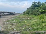 Terreno de 3,001 m2 en venta en Mata de Uva. ALVARADO...