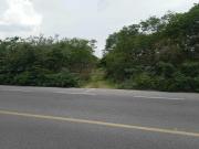 Terreno de 3.4 Hectáreas sobre Carretera Tetiz Celestun