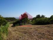 Terreno de 3.940m2, em Serra dos Mangues, São Martinho...
