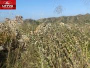 TERRENO DE 40000M2 EN VENTA EN EL PARRILLAR