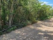 Terreno de 4000 m2 en venta en Fracc. San José Kuche