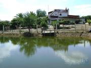 Terreno de 41500 m2 à venda Cabeça Gorda, Beja