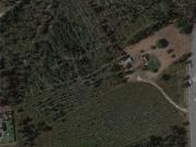 Terreno de 44420 m2 Casal Galego, Marinha Grande, Leiria