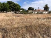 Terreno de 4766 m2 à venda Vila de Porto Santo, Madeira