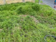 Terreno de 477 m2 sobre Avenida