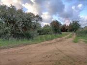 Terreno de 49200 m2 à venda Óbidos, Leiria