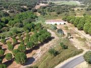 Terreno de 462520 m2 à venda Casalinho, Santarém