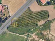 Terreno de 5000 m2 Maia, Porto
