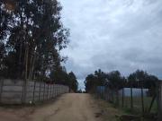 Terreno de 5000m² en Venta en Numpay, Talca