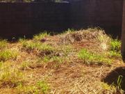 Terreno de 512m² fechado de muro com casa em construção