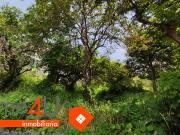 Terreno de 519 m² a una calle de avenida principal