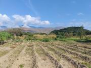 Terreno de 40.000 M2 en Yagua Sector el Limón Vía