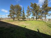 Terreno de 547,5m2 en esquina a la venta en Santa Anita...