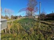 Terreno de 5480m² en Los Muermos ¡Ideal!