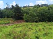 Terreno de 5,4 Hectareas Indigena, Sector Cudico, Comuna...