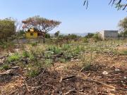 Terreno de 5,500 m2 en San Jos? Ter?n, Apto para un...