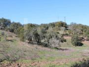 Terreno de 5,8 hectares em Santa Margarida da Serra