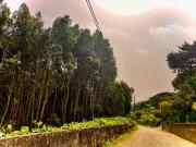 Terreno de 61160 m2 à venda Sao Pedro de Sintra Sao...