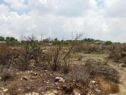 Terreno de 640 metros cuadrados en Zempoala Hidalgo