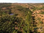 Terreno de 649250 m2 à venda Luzianes, Beja