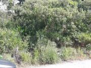 Terreno de 6.250 m² em Sorocamirim!