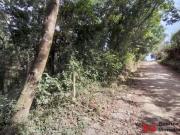 Terreno de 6.629 m² n Leve declive Jardim Colibri