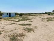 Terreno de 6 Ha en Pisco, cerca a Av. Fermin Tanguis