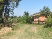 TERRENO DE 70000m2 TERRENO NA ARNIQUEIRAS COM CASA DE 05...