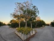 Terreno de 733 m2 en venta en Residencial Dzidzil Há