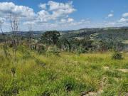 Terreno de 73.050 m² para plantio ou investimento!