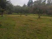 Terreno de 7 HAS en VENTA en Acaxochitlan Hgo